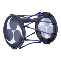 Preview: Roland TAIKO-1