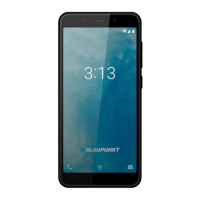 Preview: Blaupunkt SM 02