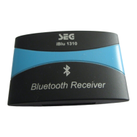 Preview: Seg iBlu 1310