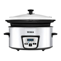 Preview: Tesla SlowCook S600
