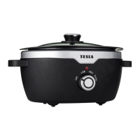 Preview: Tesla SlowCook S300