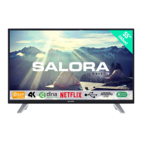 Preview: Salora 55UHS3500