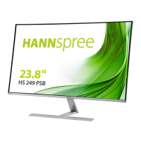 Preview: HANNspree HS249PSB