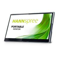 Preview: HANNspree HL161CGB