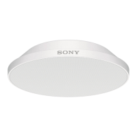 Preview: Sony MAS-A100