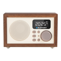 Preview: Blaupunkt HR5BR