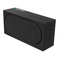 Preview: Blaupunkt BT06