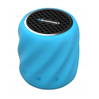 Preview: Blaupunkt BT05
