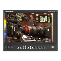 Preview: Marshall Electronics V-LCD101MD