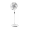 Fan Logo