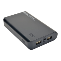 Preview: Tripp Lite UPB-10K0-2U