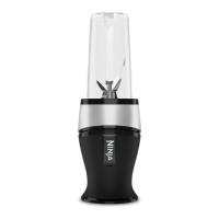 Preview: Ninja QB3001EUS