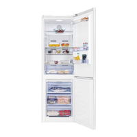 Preview: Beko CN232121