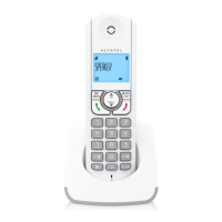 Preview: Alcatel F330-S