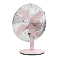 Preview: Bestron DFT35R