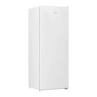 Preview: Beko GF200E40WCHN