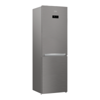 Preview: Beko RCNA320E20PT