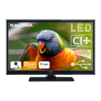 Preview: Salora LED2480CAH