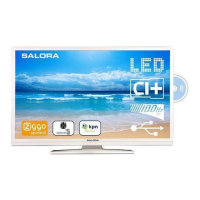 Preview: Salora 32LED8115CDW