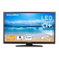Preview: Salora 32LED8100CS