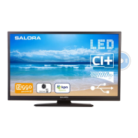 Preview: Salora 32LED8105CD