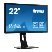 Preview: Iiyama ProLite B2282HD