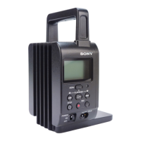 Preview: Sony HXR-IFR5