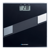 Preview: Blaupunkt BSM411
