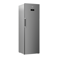Preview: Beko RFNE312E23X