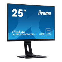 Preview: Iiyama ProLite XUB2595WSU