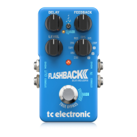 Preview: TC Electronic FLASHBACK
