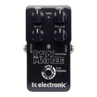 Preview: DARK MATTER DISTORTION