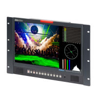 Preview: Datavideo TLM-170FR