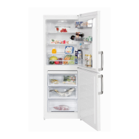 Preview: Beko CS 230020