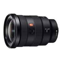 Preview: Sony SEL1635GM