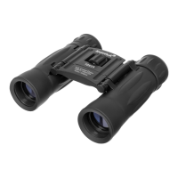 Preview: Levenhuk ATOM 8x21