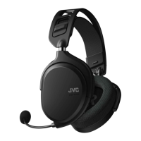 Preview: JVC GG-01W