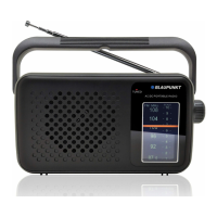 Preview: Blaupunkt PR8BK