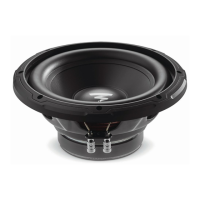 Preview: Focal Sub 10 Dual