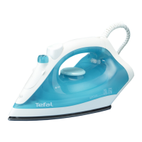 Preview: TEFAL VIRTUO FV1310
