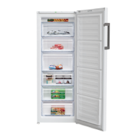 Preview: Beko RFSA240M43WN