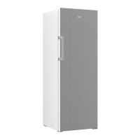Preview: Beko RFNE290T45XPN