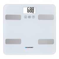 Preview: Blaupunkt BSM501