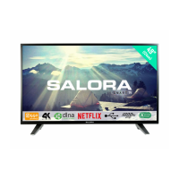 Preview: Salora 49UHS3500