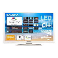 Preview: Salora 50LED8110CSW
