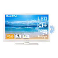 Preview: Salora 24LED8115CDW