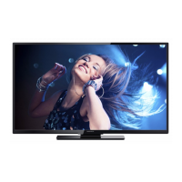 Preview: Magnavox 55MV346X