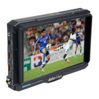 Preview: Datavideo TLM-700UHD