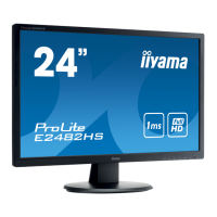 Preview: Iiyama ProLite E2482HS