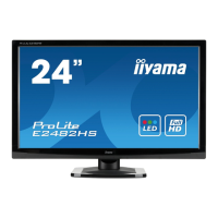Preview: Iiyama ProLite B2482HS